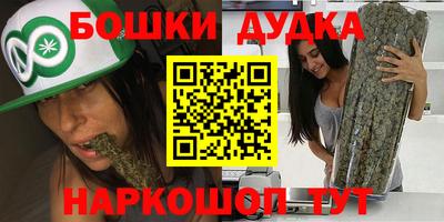 индика Аргун