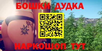 индика Аргун