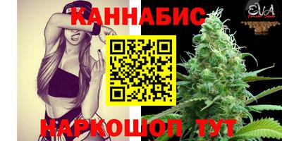 индика Аргун