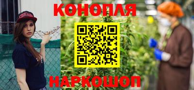 индика Аргун