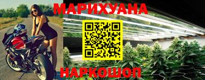 индика Аргун