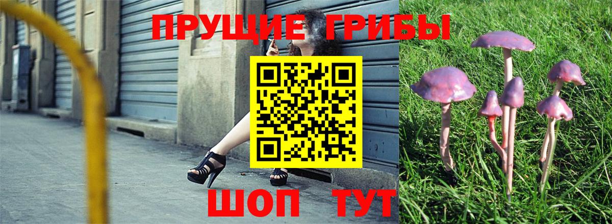 Астрахань  Псилоцибиновые грибы мицелий  Вход с VPN 