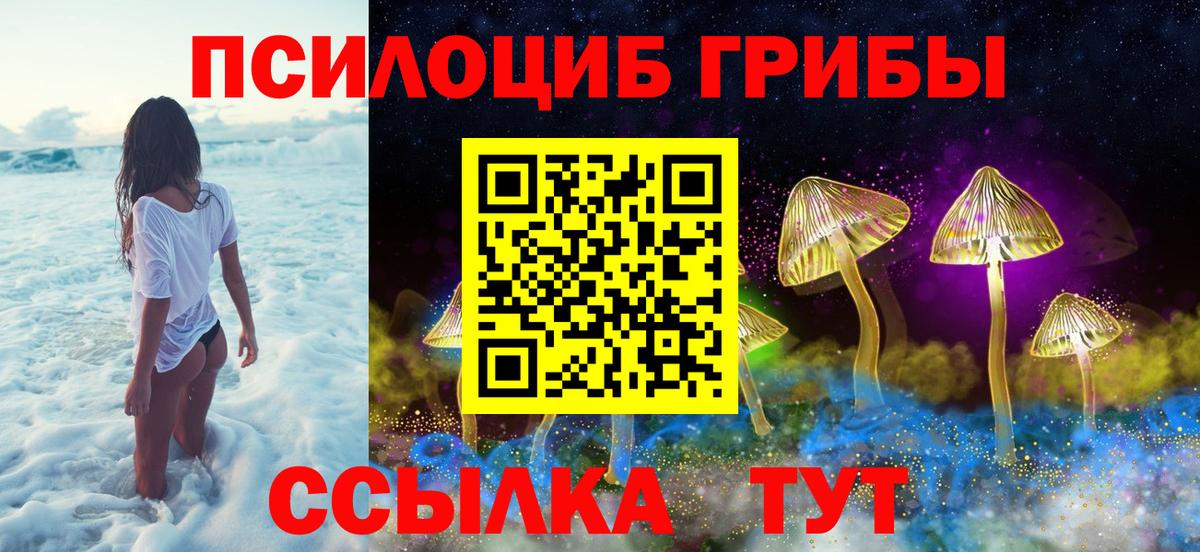 Галлюциногенные грибы Psilocybe Астрахань